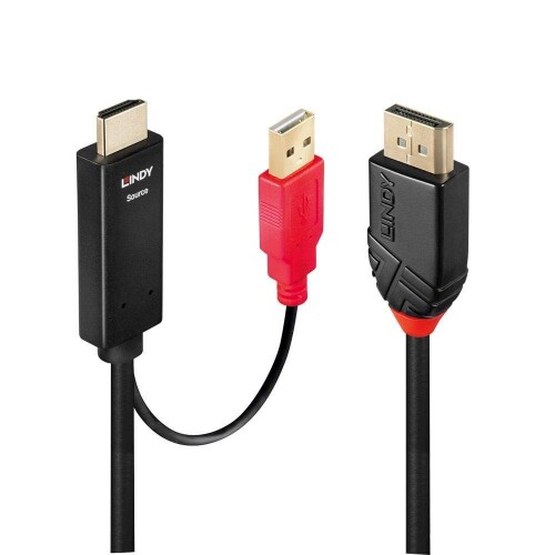 LINDY HDMI 1.4 - DisplayPort 1.2アクティブ変換ケーブル、USB給電ケーブル付、5m(型番:41428)