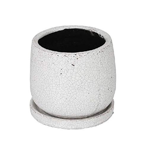 ダルトン(Dulton) 園芸用品 グレイズドポット ラウンド ホワイト Mサイズ 底穴あり GLAZED POT ROUND WHITE K655-851MWT